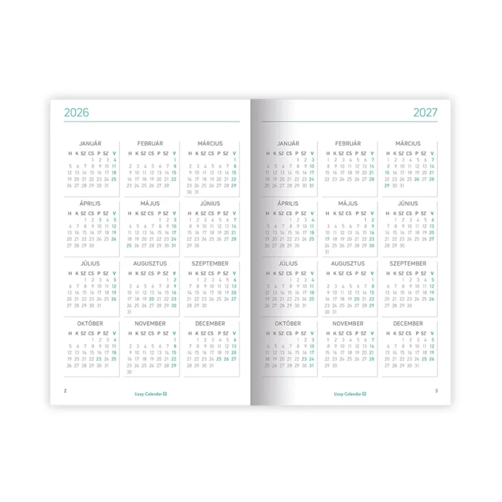 A6 tűzött zsebnaptár Flow Lizzy Calendar 2026