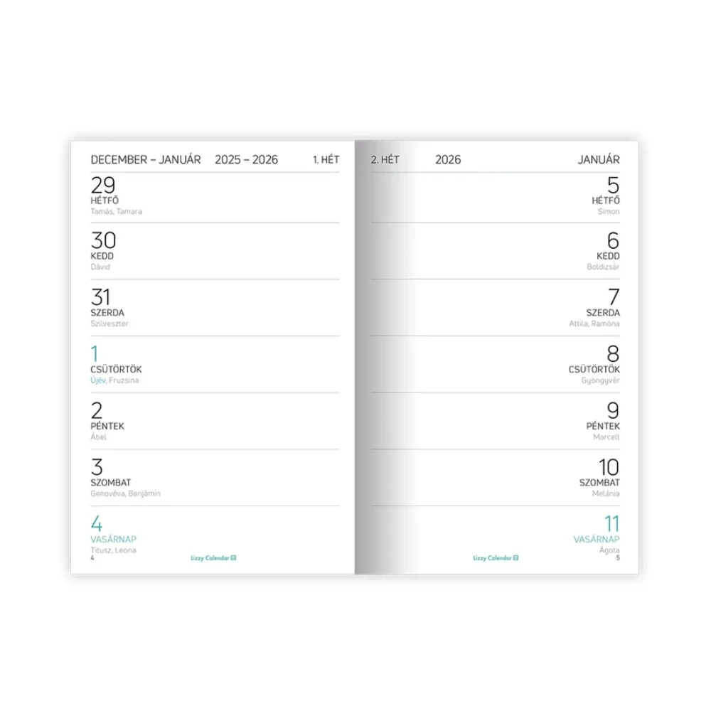 A6 tűzött zsebnaptár Flow Lizzy Calendar 2026