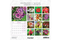 Kép 2/2 - Falinaptár Különleges virágok Cardex 2023