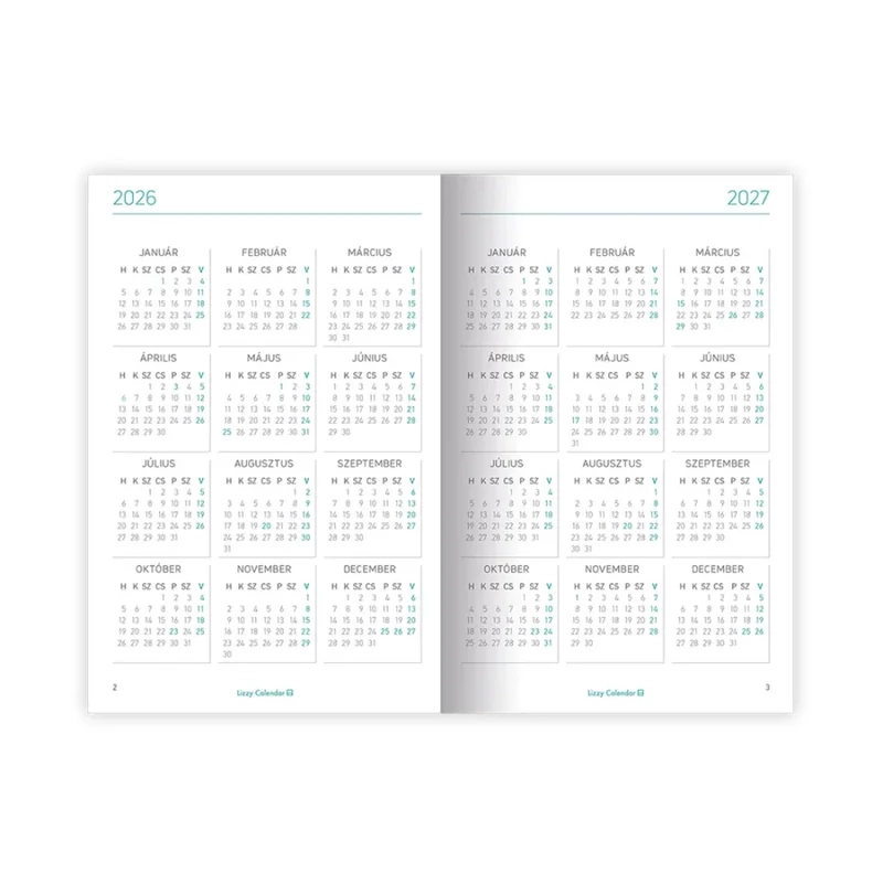 A6 tűzött zsebnaptár Manhattan New York Lizzy Calendar 2026
