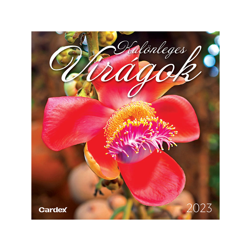 Falinaptár Különleges virágok Cardex 2023