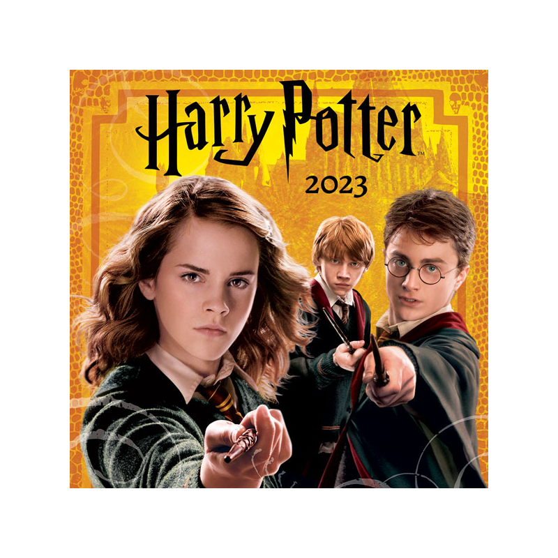 Falinaptár Harry Potter Cardex 2023