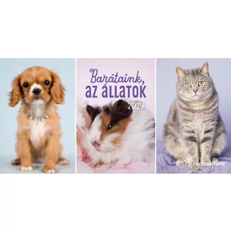 Asztali naptár Barátaink az állatok Rachael Hale Cardex 2024