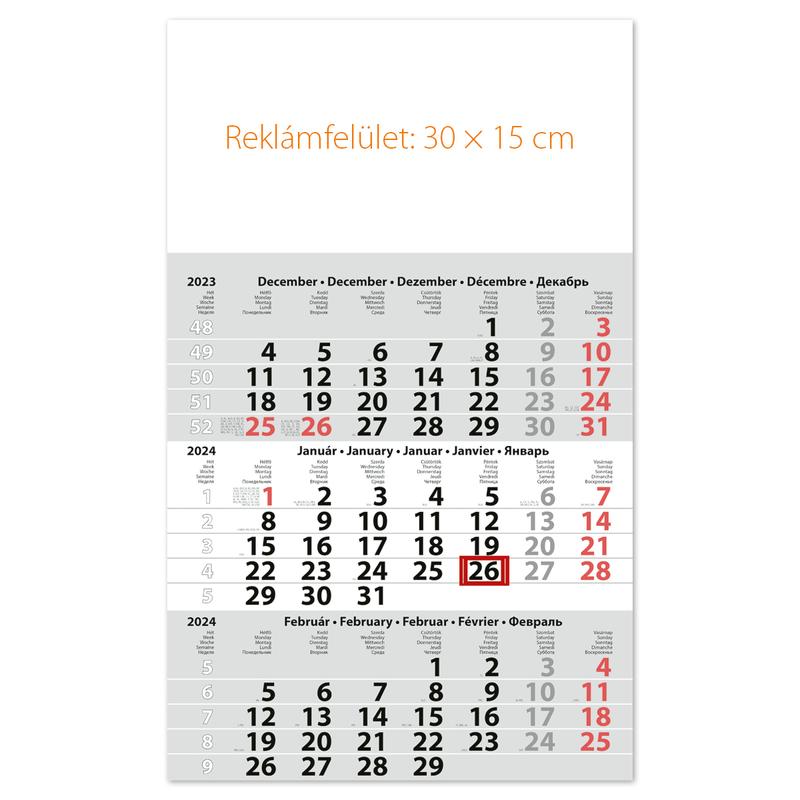 Dayliner speditőr naptár üres fejrésszel 2024
