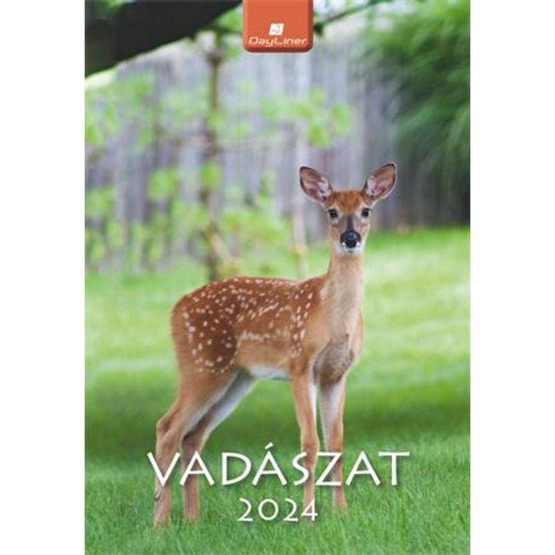 Dayliner falinaptár Vadászat B4 2024