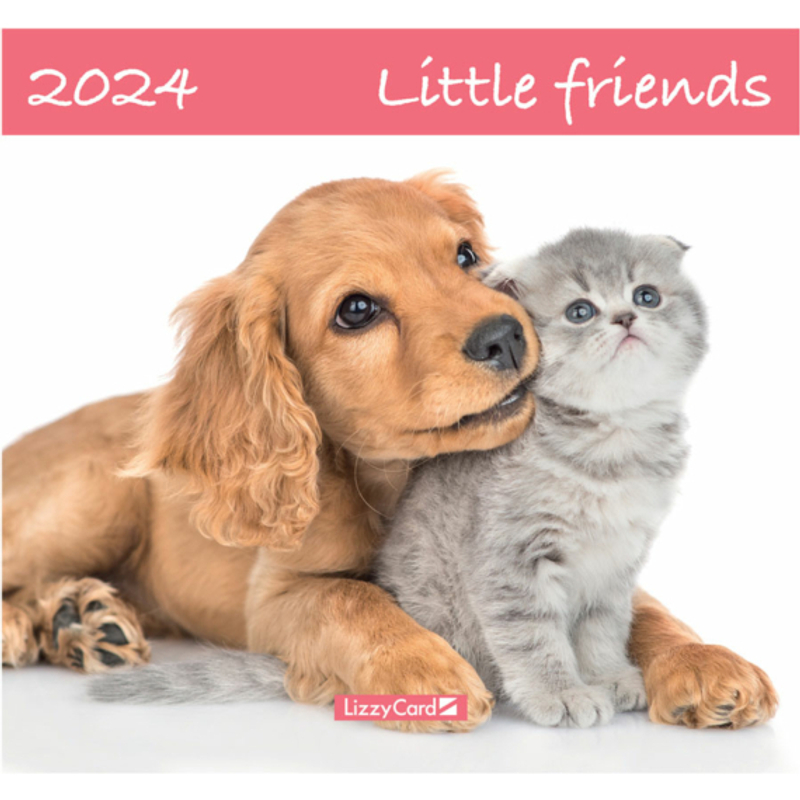 Falinaptár lemez nagy 2024 Little friends Lizzy Card