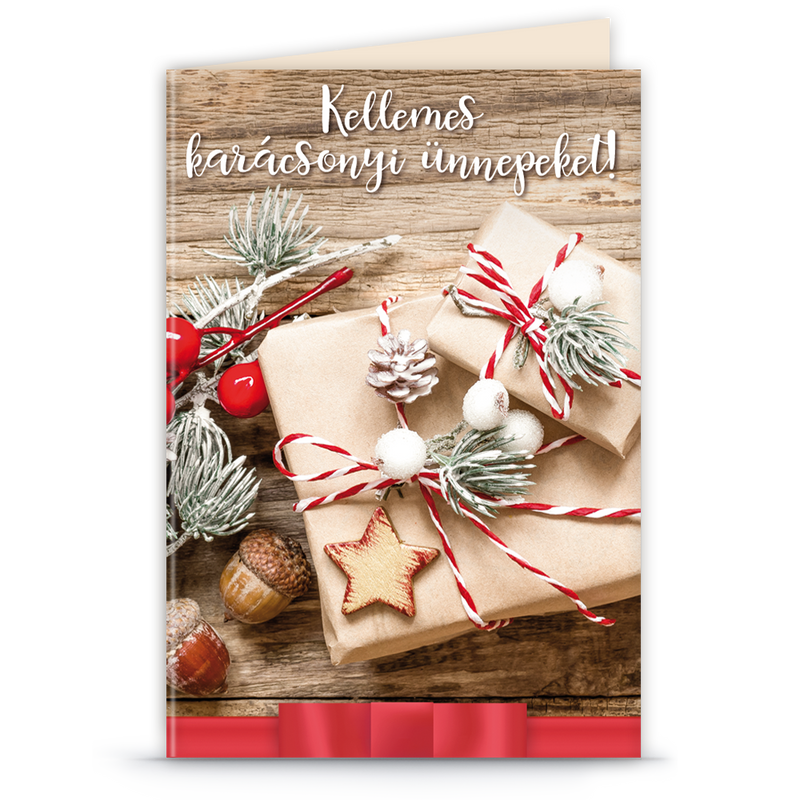 Ars Una karácsonyi szalagos ajándékkísérő (4276)