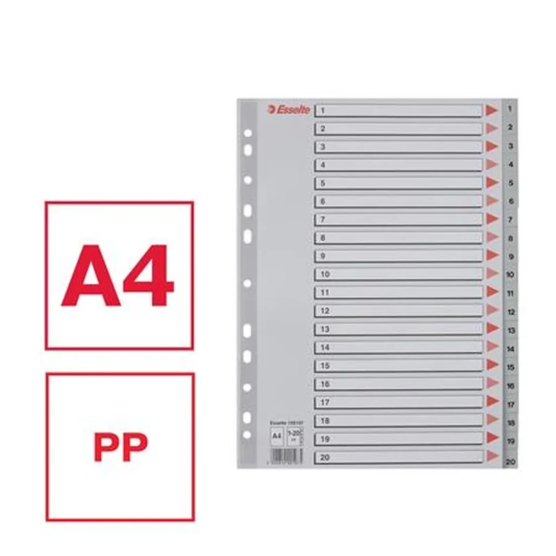 Regiszter műanyag A4 1-20 Esselte szürke