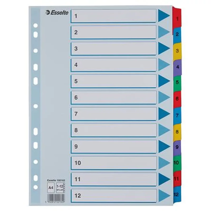 Regiszter karton A4 1-12 Esselte Mylar