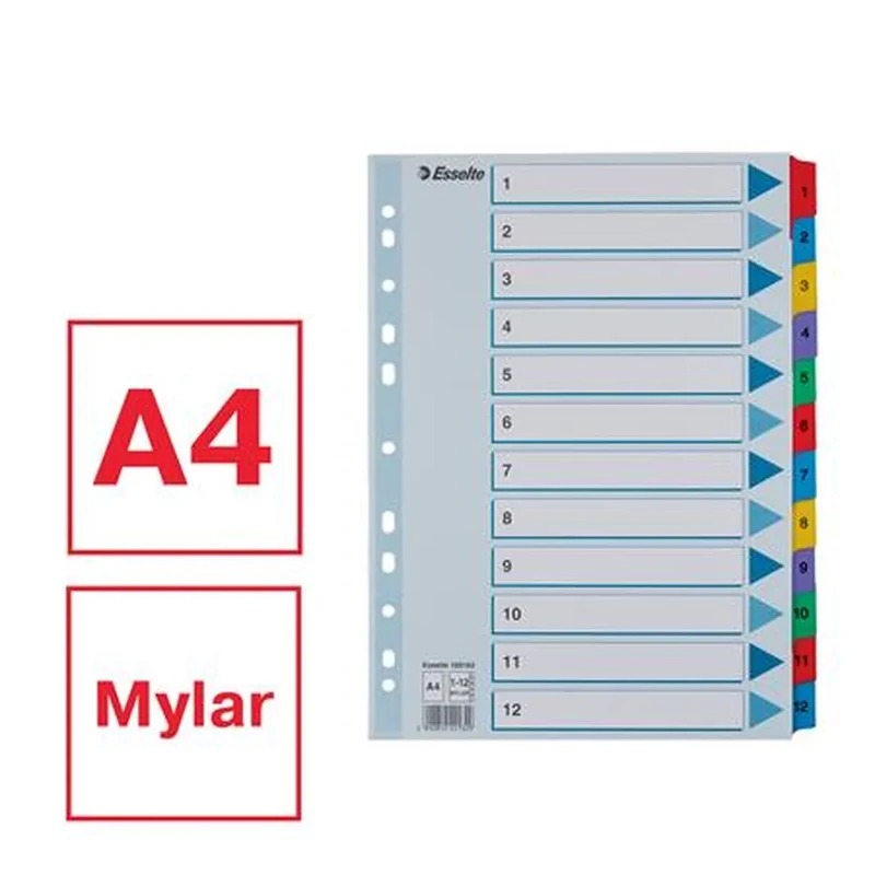 Regiszter karton A4 1-12 Esselte Mylar