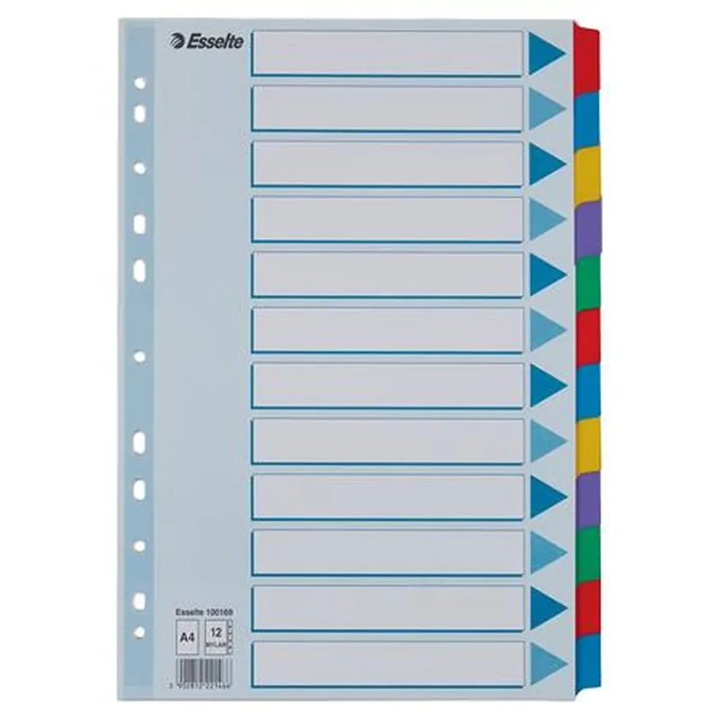 Regiszter laminált karton A4 12 részes Esselte Mylar