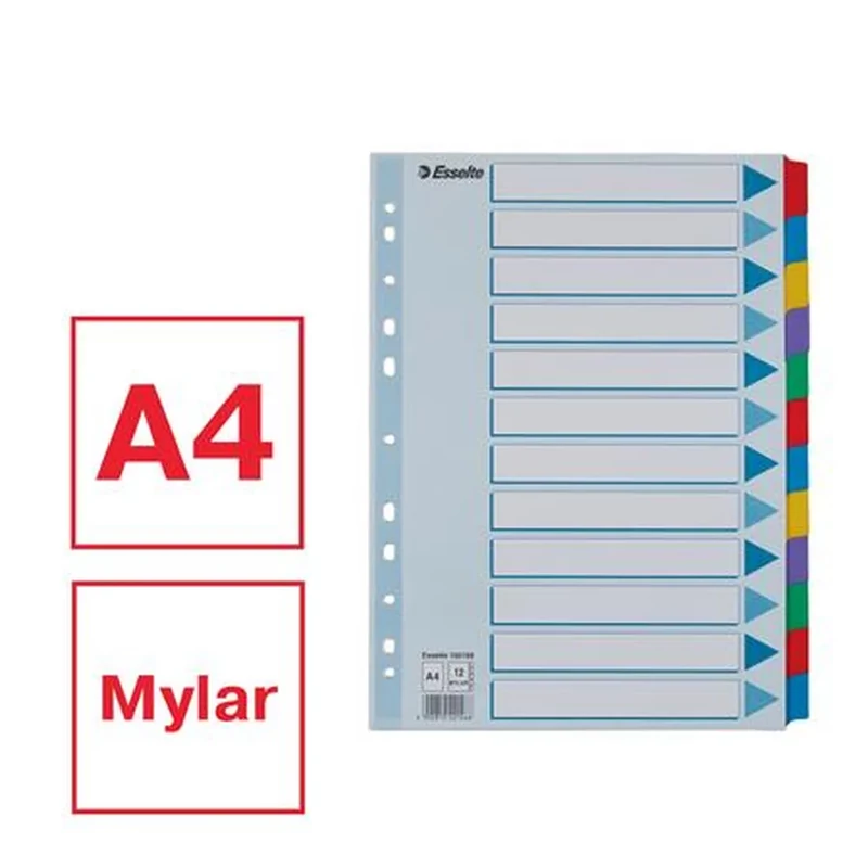 Regiszter laminált karton A4 12 részes Esselte Mylar