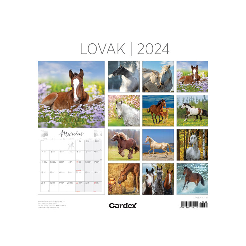 Falinaptár Lovak Cardex 2024