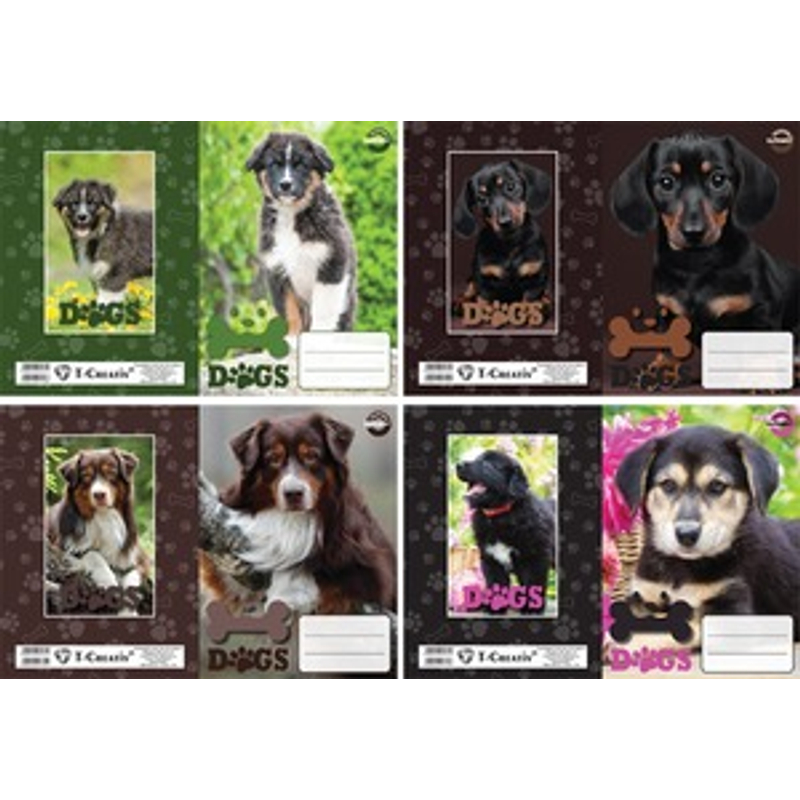 Füzetborító csomag betétes T-Creativ A/5 Puppies 2023